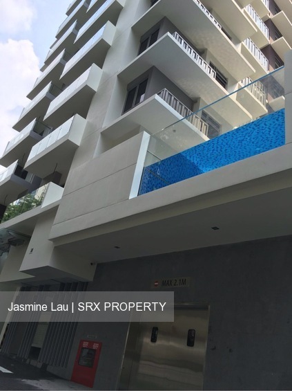 Suites @ Newton (D11), Apartment #208614861